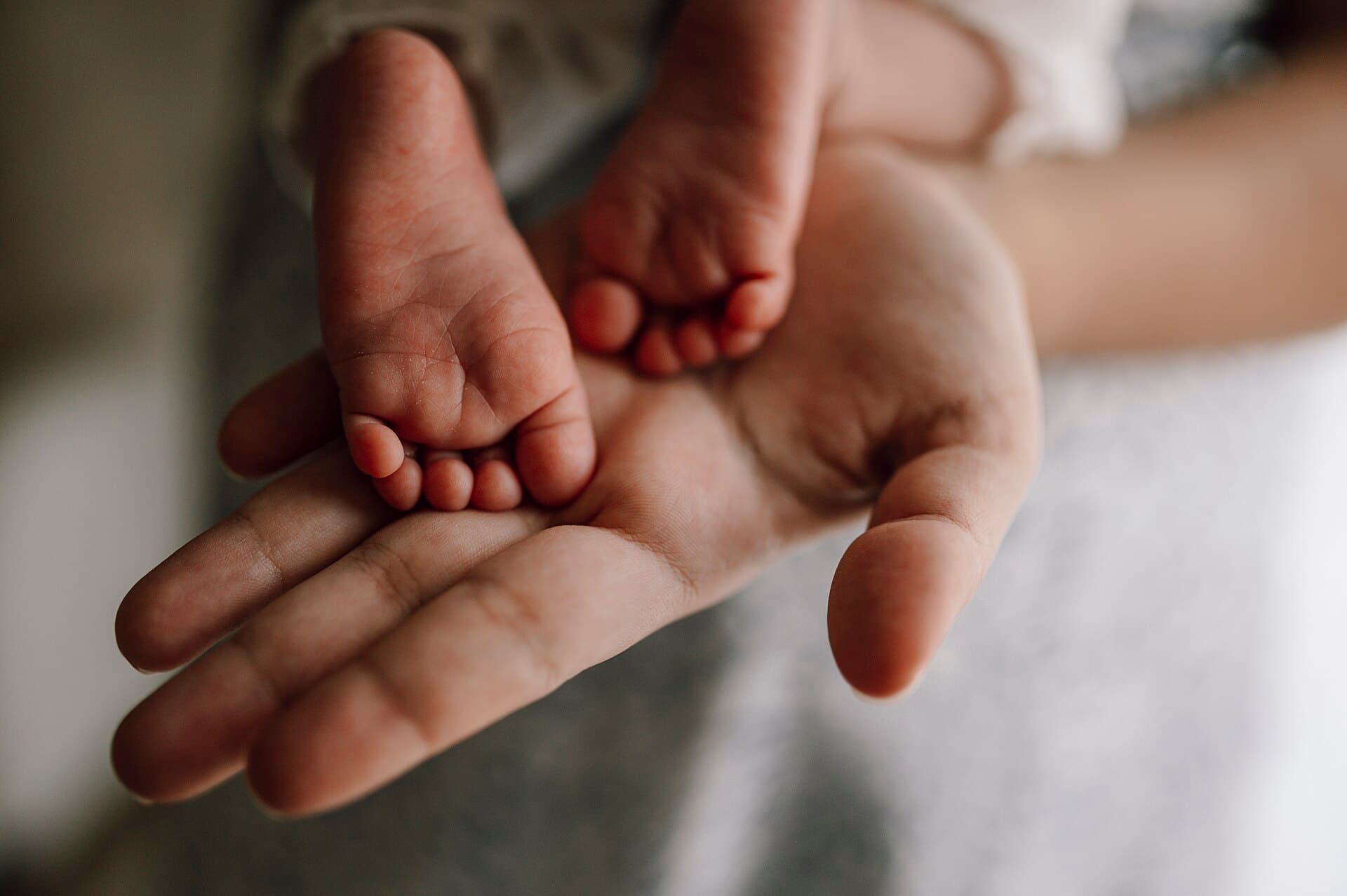 Pés de um recém-nascido apoiados na mão de um adulto